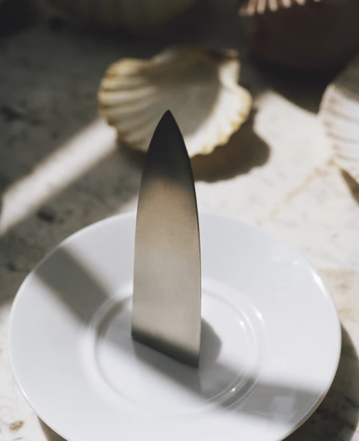 Rita Puig-serra Costa