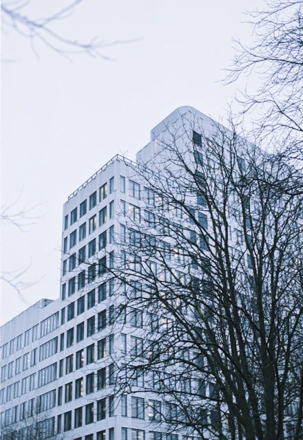 Rita Puig-serra Costa