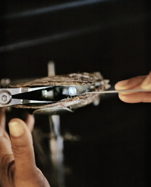 Rita Puig-serra Costa