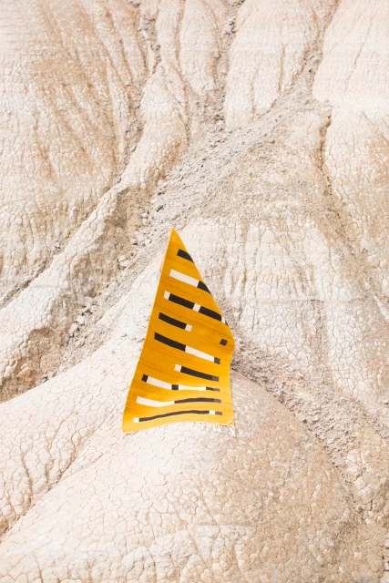 Rita Puig-serra Costa