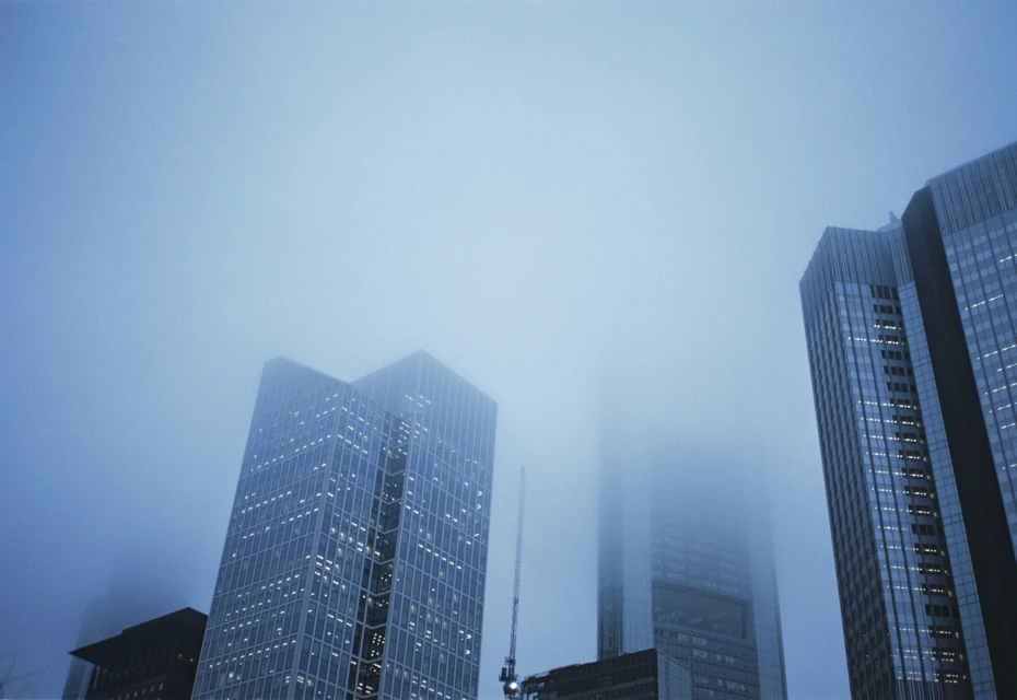 Rita Puig-serra Costa