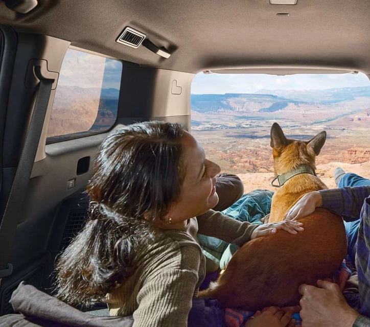 Elizabeth Pojé + Associates