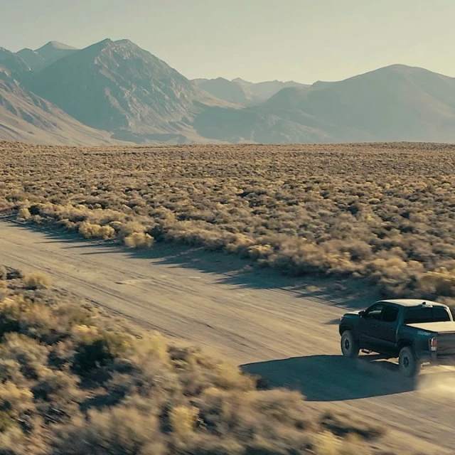 Elizabeth Pojé + Associates