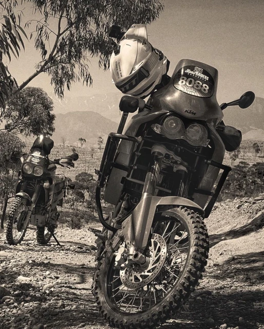 Elizabeth Pojé + Associates