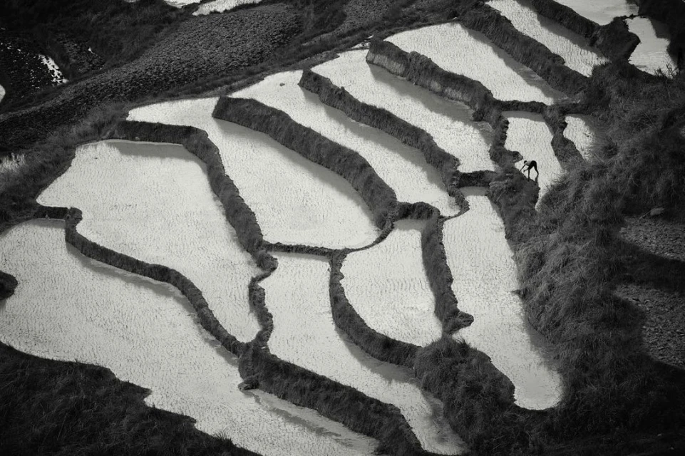 Alistair Taylor-Young