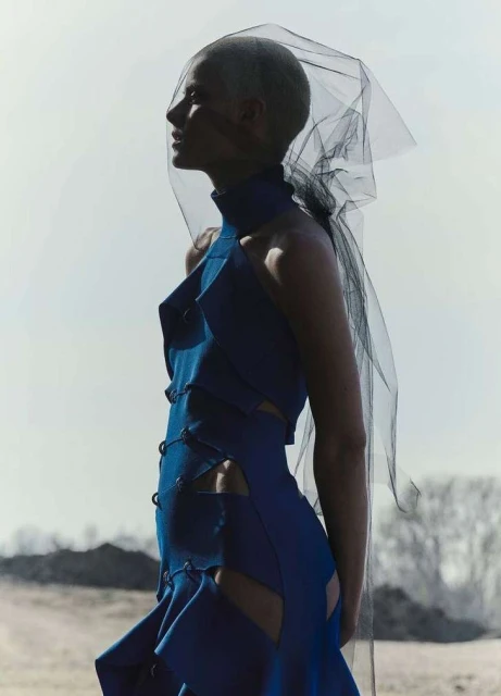 Alistair Taylor-Young