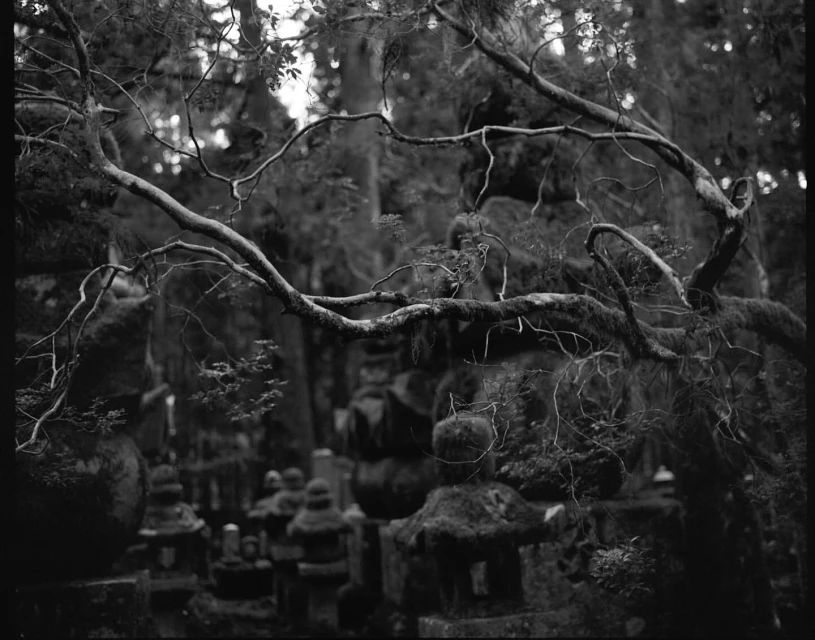 Mathieu Richer Mamousse