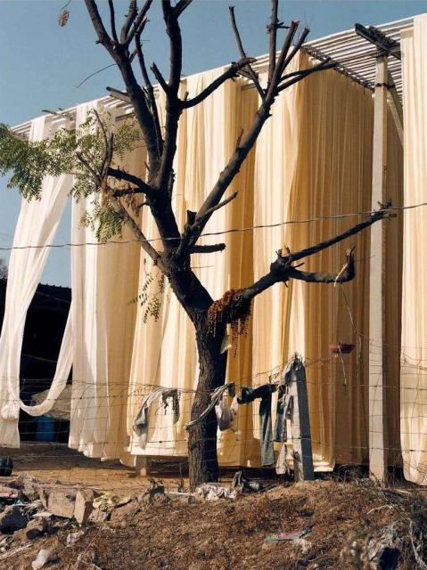 Mathieu Richer Mamousse