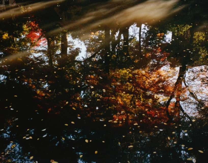 Mathieu Richer Mamousse