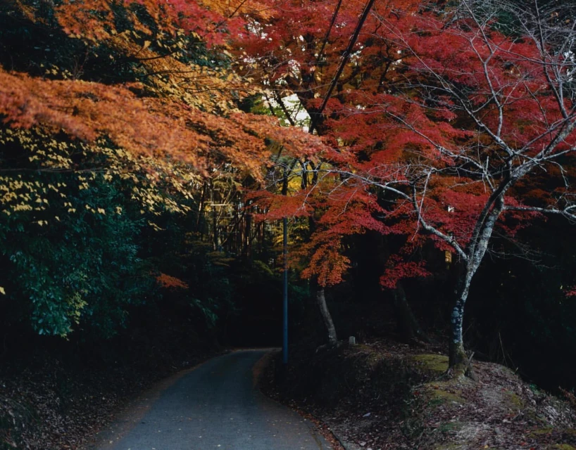 Mathieu Richer Mamousse