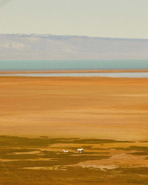 Mathieu Richer Mamousse