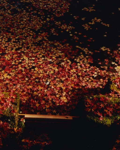 Mathieu Richer Mamousse