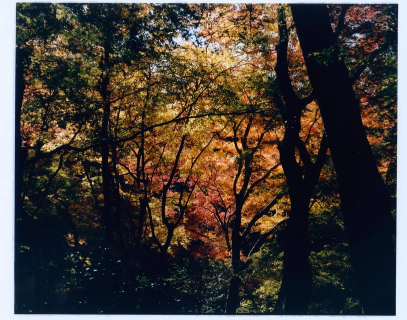 Mathieu Richer Mamousse