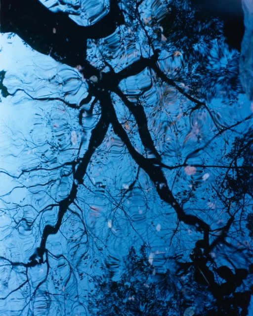 Mathieu Richer Mamousse