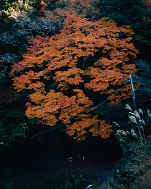 Mathieu Richer Mamousse