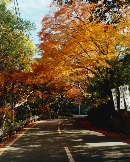 Mathieu Richer Mamousse