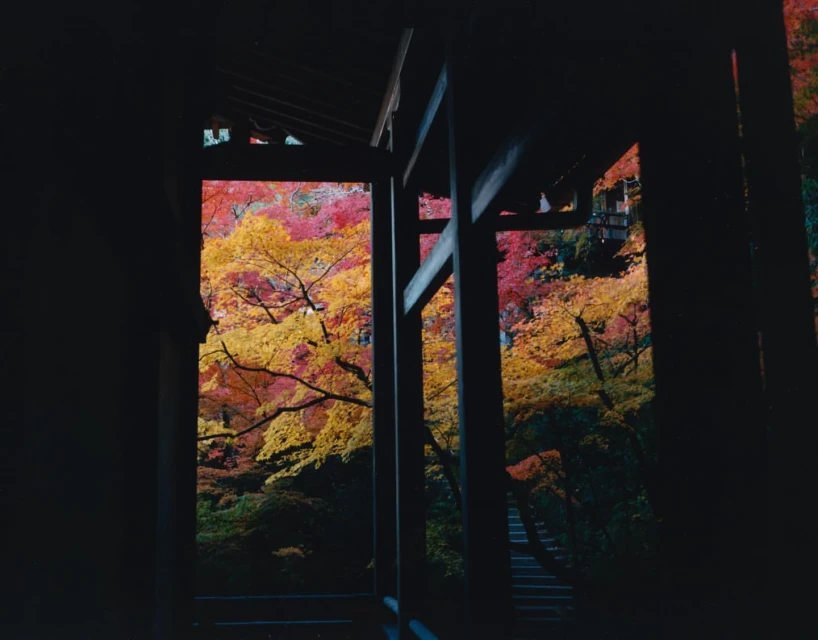 Mathieu Richer Mamousse