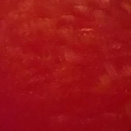 Victoria Singh-Thompson