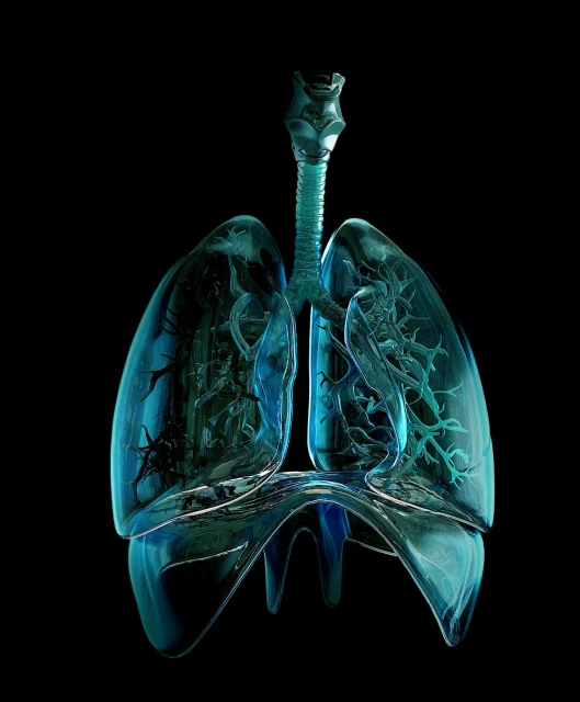 Janice Moses Represents