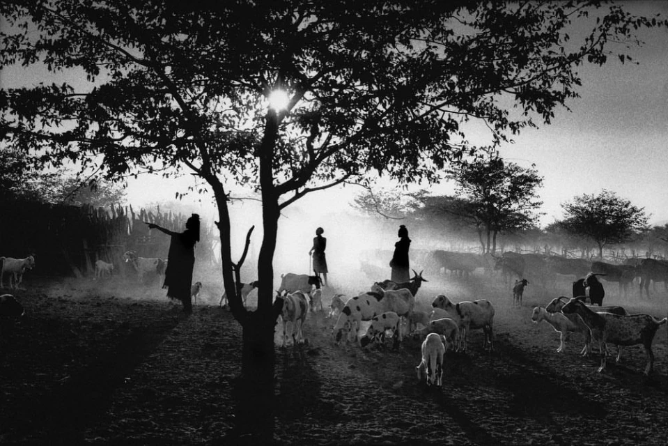 Wyatt-Clarke & Jones