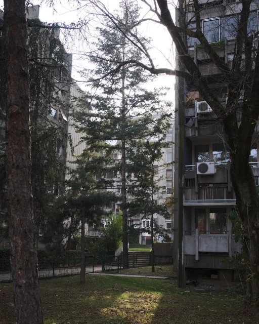 Wyatt-Clarke & Jones