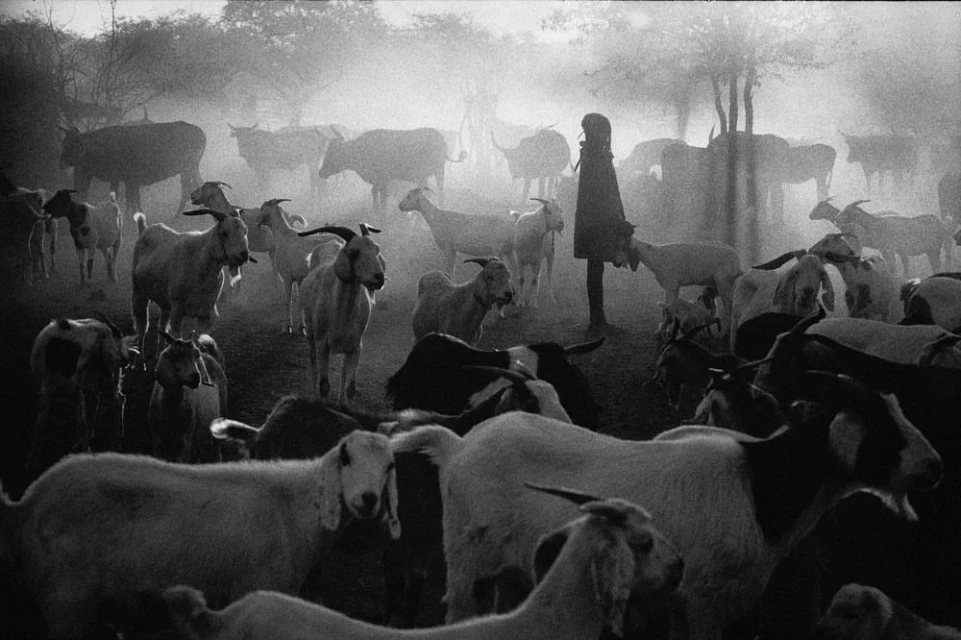 Wyatt-Clarke & Jones