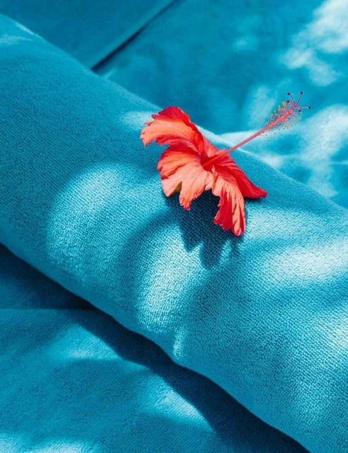 Alex Cretey Systermans