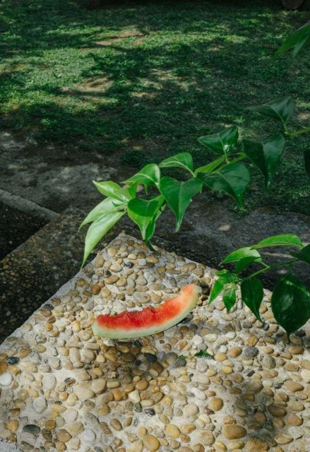 Alex Cretey Systermans