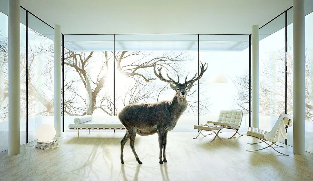 Wyatt-Clarke & Jones