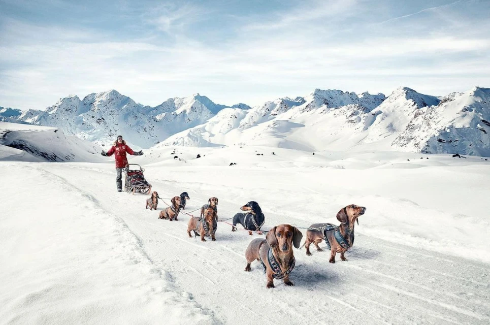 Wyatt-Clarke & Jones