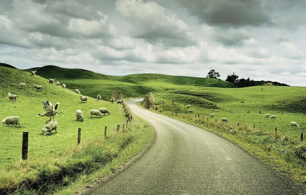 Wyatt-Clarke & Jones