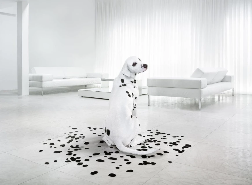 Wyatt-Clarke & Jones