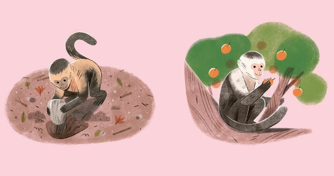 Inkling Illustration