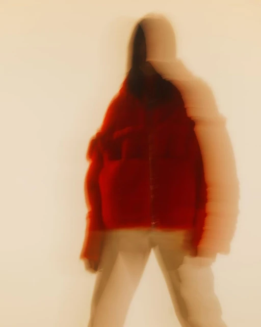 Anne-sophie Soudoplatoff