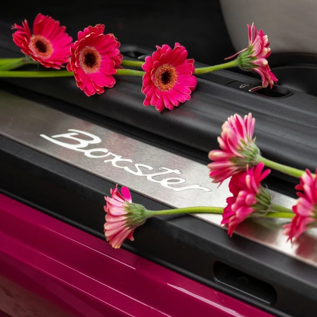 Elizabeth Pojé + Associates