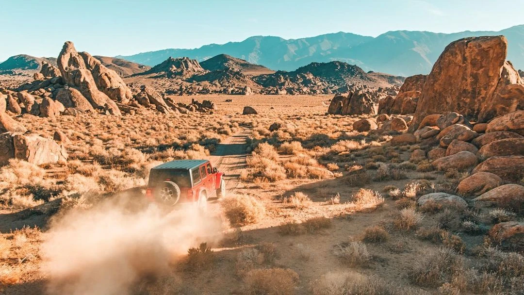 Elizabeth Pojé + Associates