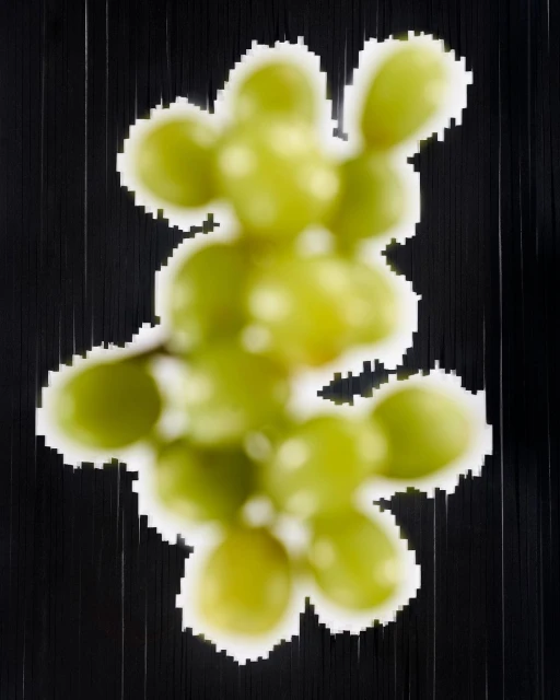 Julian Meijer Agency