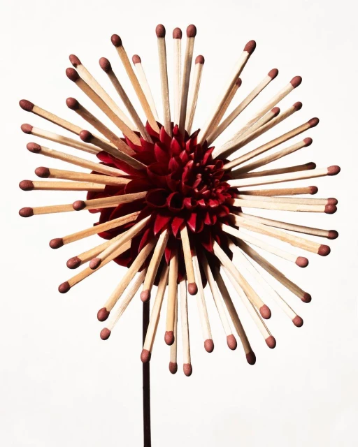 Julian Meijer Agency