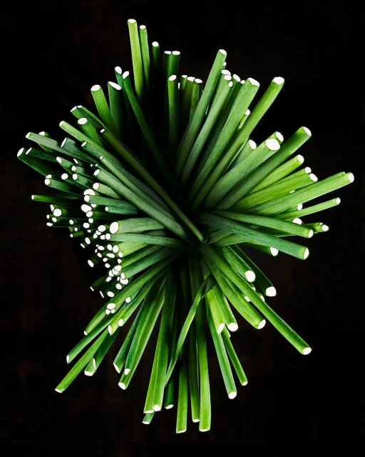 Julian Meijer Agency