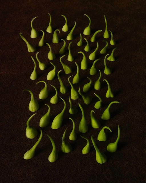 Julian Meijer Agency