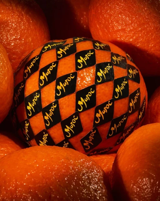 Julian Meijer Agency