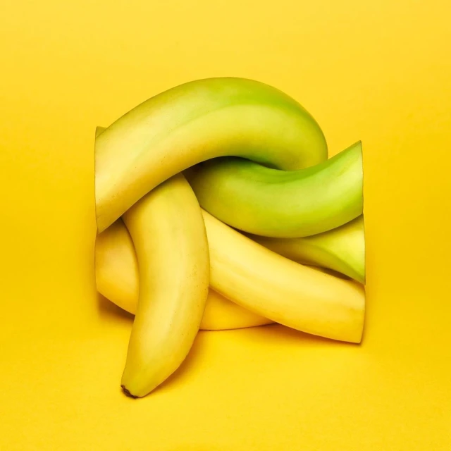 Julian Meijer Agency