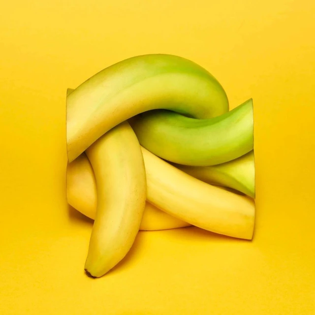 Julian Meijer Agency