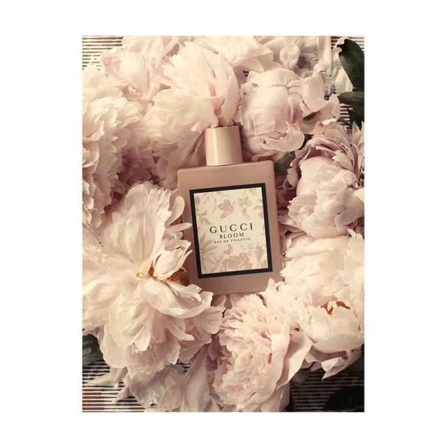 Bérengère Valognes