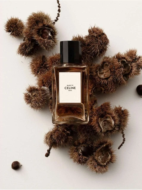 Bérengère Valognes