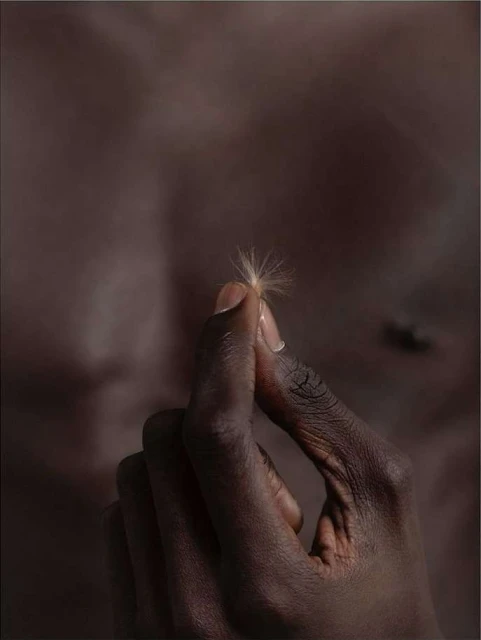 Bérengère Valognes