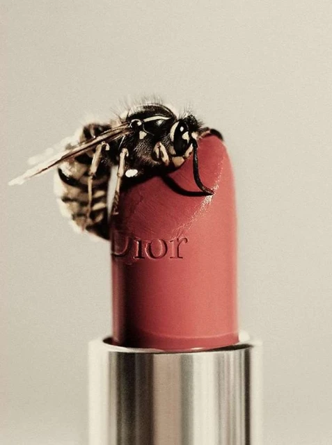 Bérengère Valognes