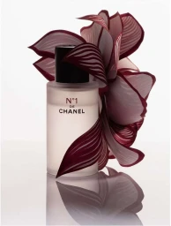 Bérengère Valognes