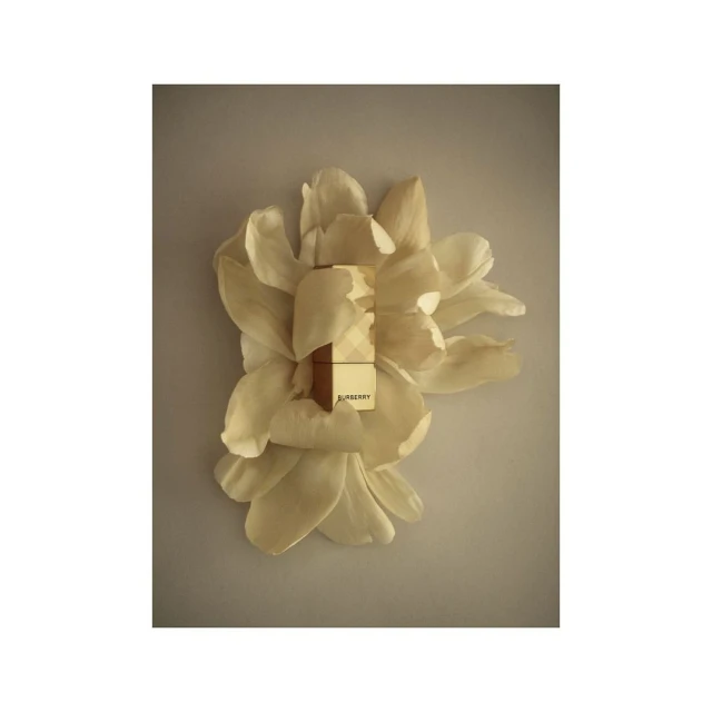 Bérengère Valognes