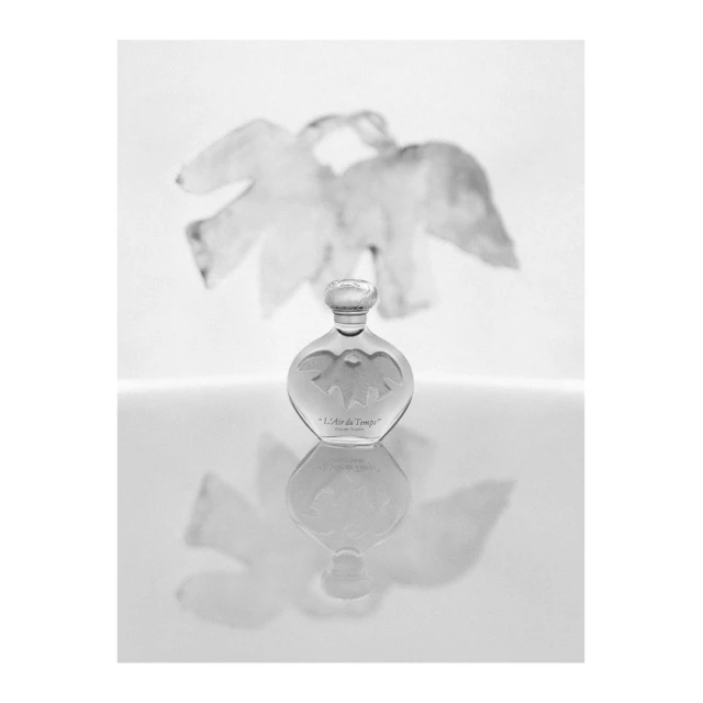 Bérengère Valognes